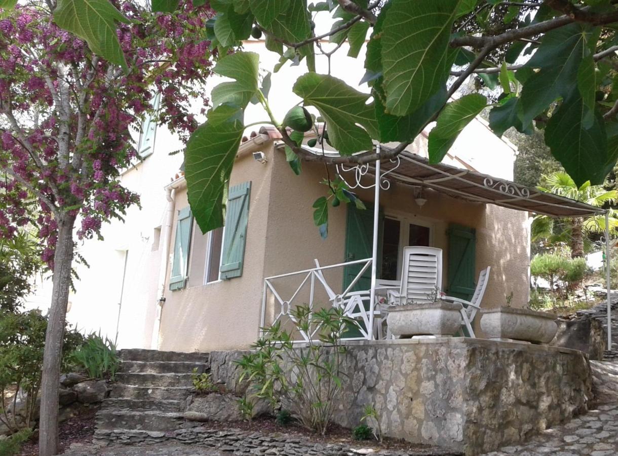 Gite Sud De France-Carcassonne Chez Lea Aragon Eksteriør billede