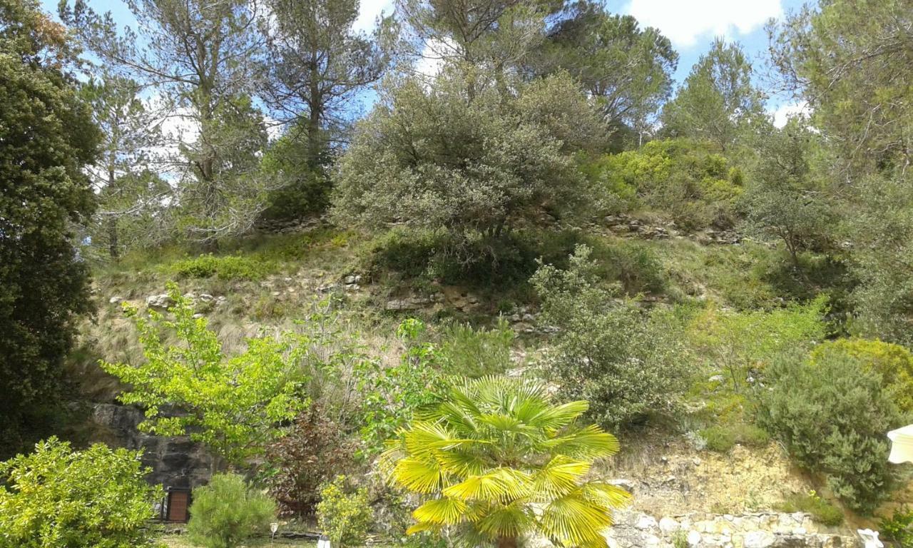 Gite Sud De France-Carcassonne Chez Lea Aragon Eksteriør billede